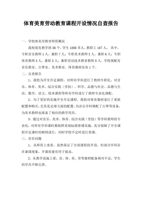 体育美育劳动教育课程开设情况自查报告