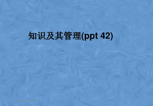 知识及其管理(ppt 42)