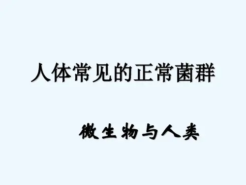 人体常见正常菌群整理 PPT