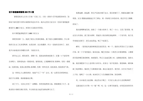 初中暑假趣事随笔600字5篇
