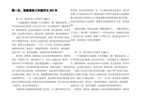 那一次，我真悲伤七年级作文500字