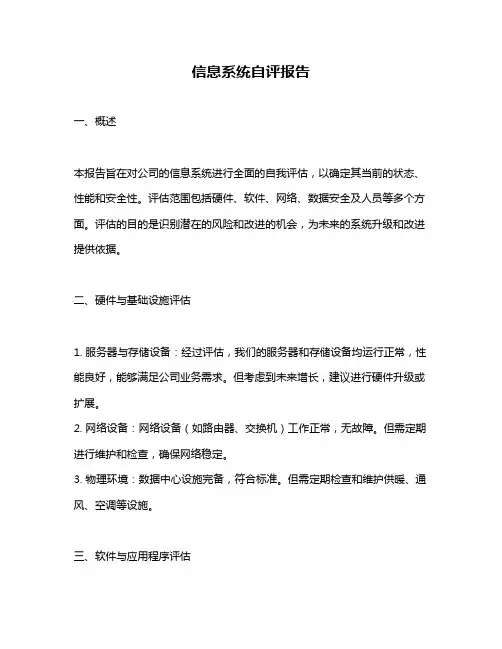 信息系统自评报告