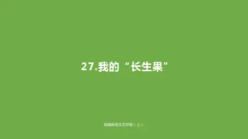 新版五年级上册-27《我的“长生果”》人教(部编版) (共28张PPT)