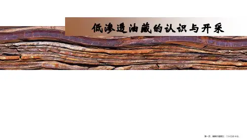 低渗透油藏的认识与开采
