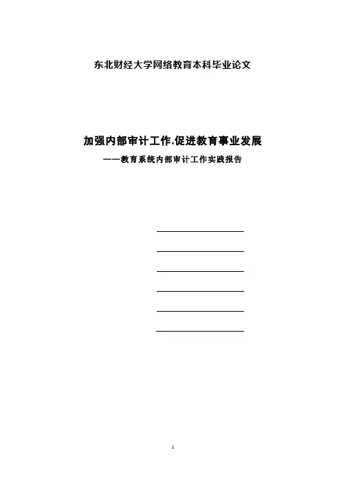教育系统内部审计工作实践报告