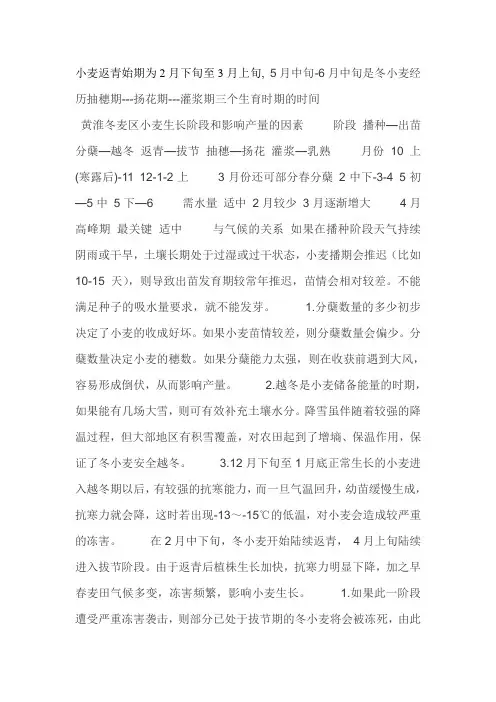 小麦返青始期为2月下旬至3月上旬