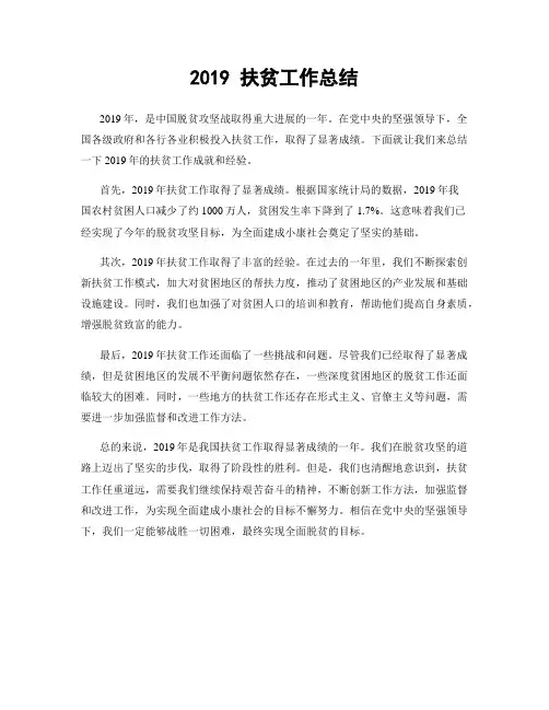 2019 扶贫工作总结