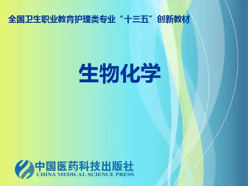 ALA合酶是血红素合成的限速酶