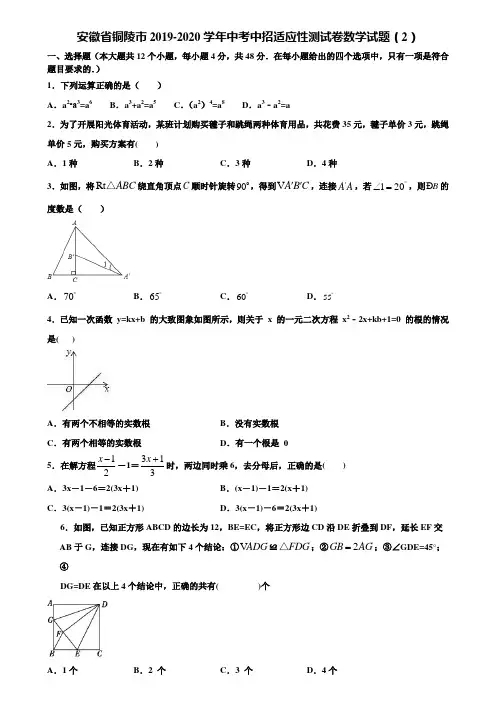 安徽省铜陵市2019-2020学年中考中招适应性测试卷数学试题(2)含解析