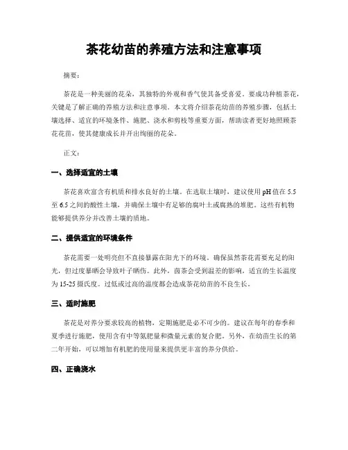 茶花幼苗的养殖方法和注意事项