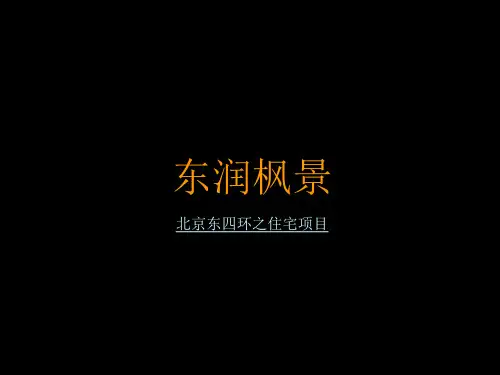 北京东瑞风景提案