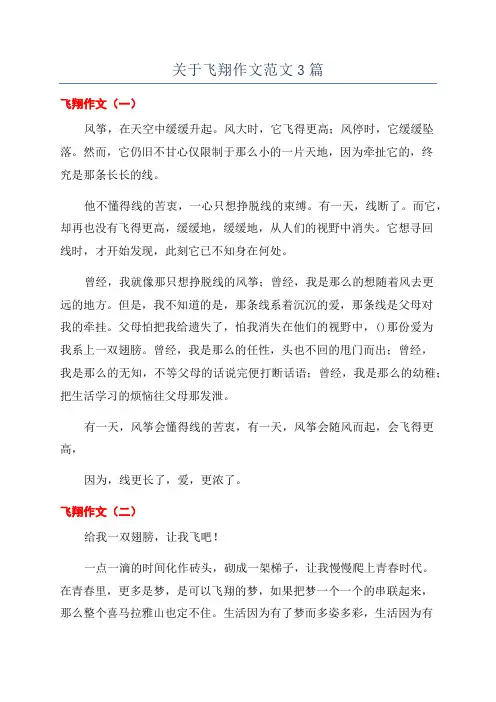 关于飞翔作文范文3篇
