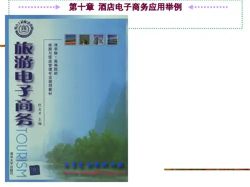 酒店行业电子商务经典案例(ppt 40页)