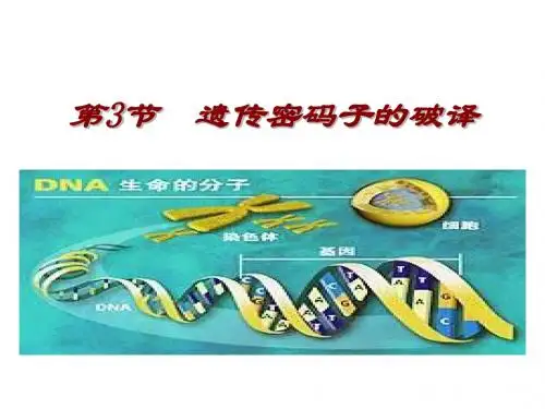 高一生物遗传密码的破译2(2019新)