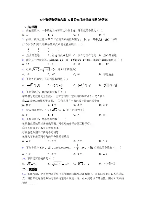 初中数学数学第六章 实数的专项培优练习题(含答案