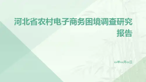 河北省农村电子商务困境调查研究报告