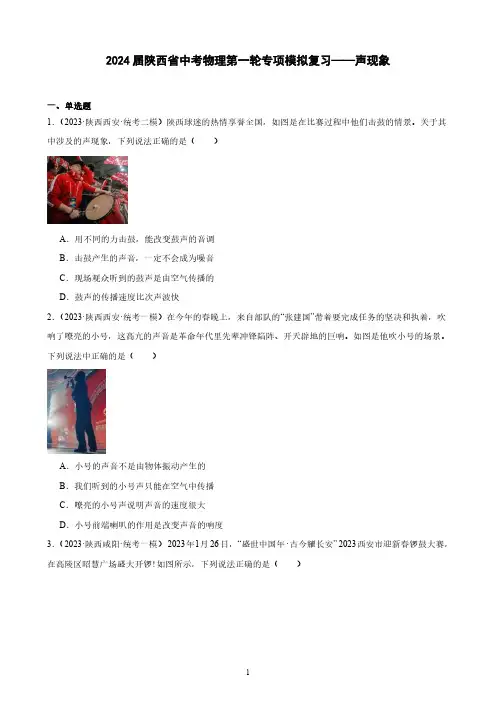 2024届陕西省中考物理第一轮专项模拟复习——声现象(含解析)