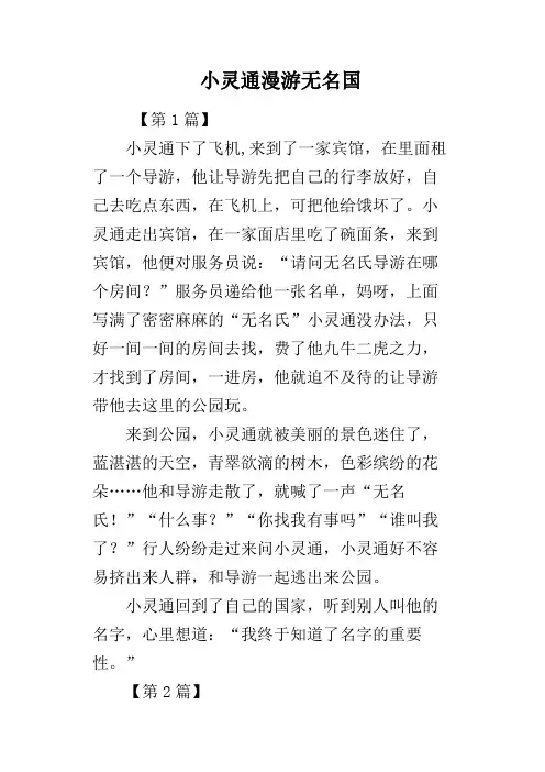 小灵通漫游无名国