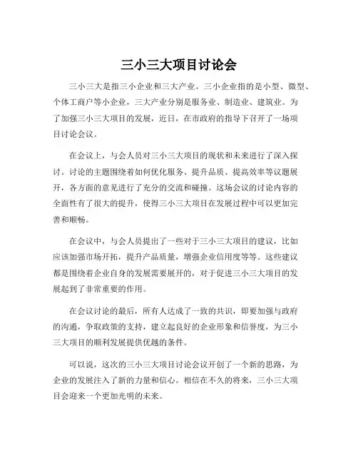 三小三大项目讨论会