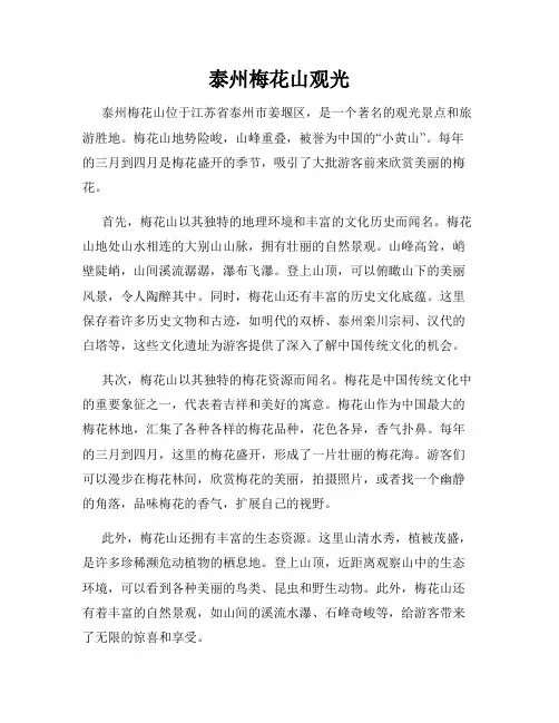 泰州梅花山观光