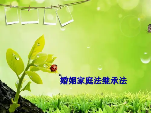 婚姻家庭法继承法