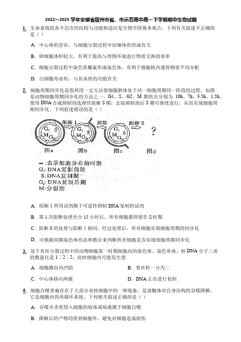 2022—2023学年安徽省宿州市省、市示范高中高一下学期期中生物试题
