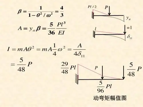 10山东建筑大学结构力学动力学4解析