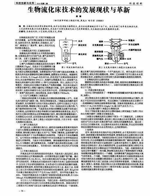 生物流化床技术的发展现状与革新