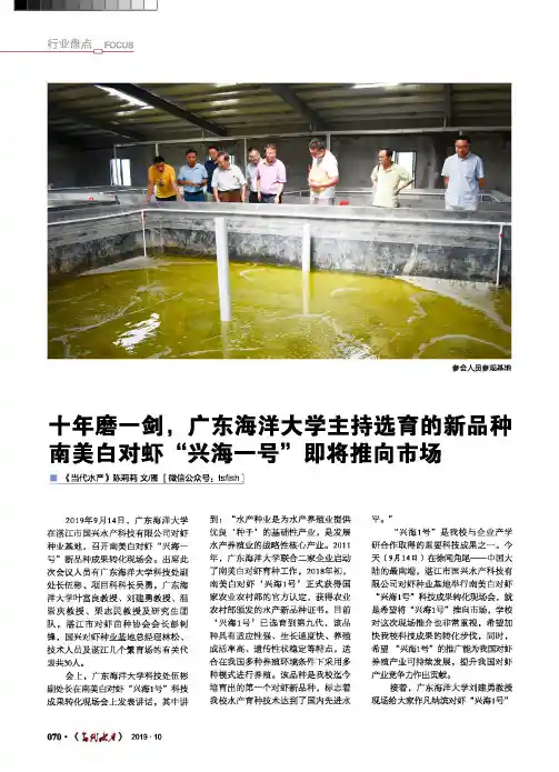 十年磨一剑,广东海洋大学主持选育的新品种南美白对虾“兴海一号