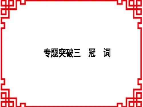 中考英语 语法专题突破专题突破三 冠 词 (20)