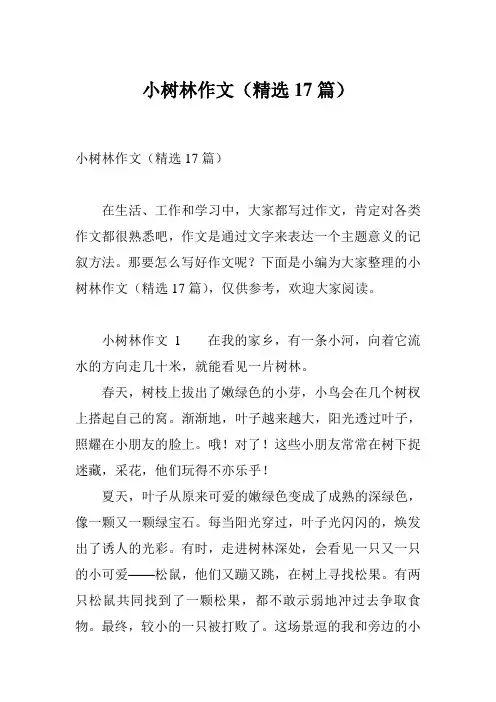 小树林作文(精选17篇)
