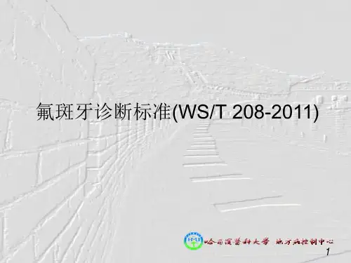 氟斑牙诊断标准