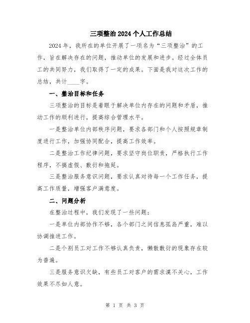 三项整治2024个人工作总结