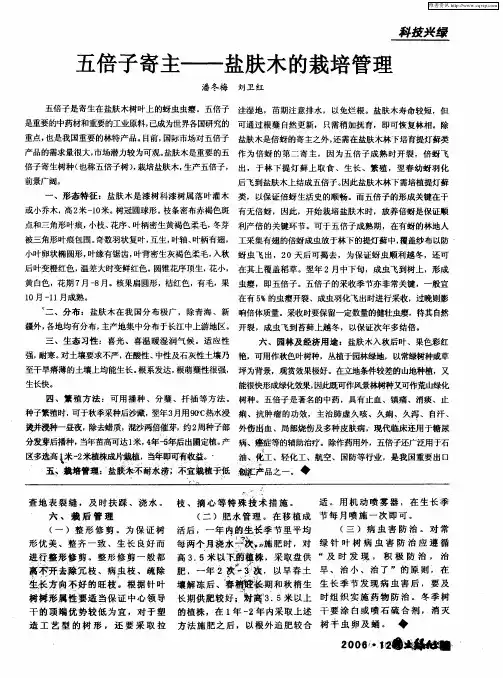 五倍子寄主——盐肤木的栽培管理