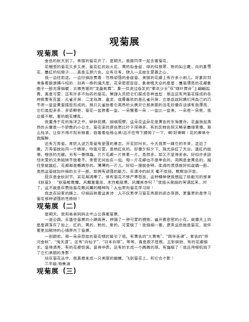 观菊展作文共九篇