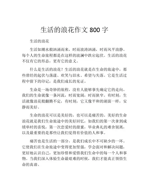 生活的浪花作文800字