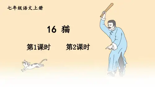 人教版七年级语文上册第16课《猫》优质课件