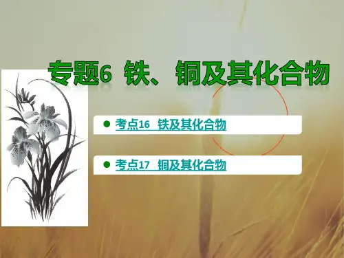 最新-A版2021版高考化学一轮专题复习课件专题6.铁、铜及其化合物 共23张 精品