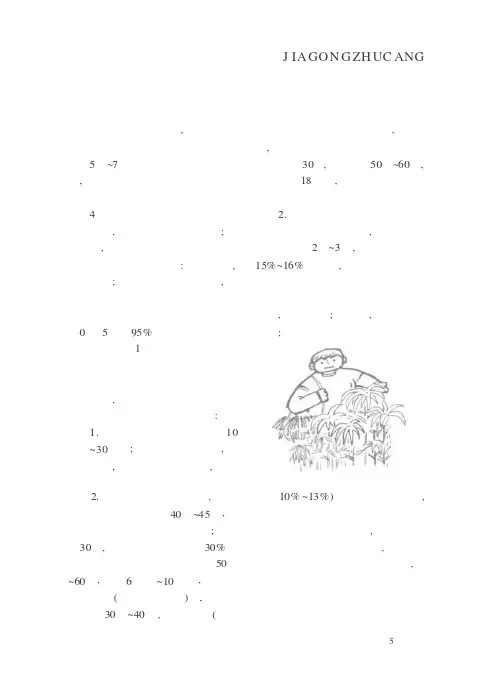 黄花菜的采收与加工