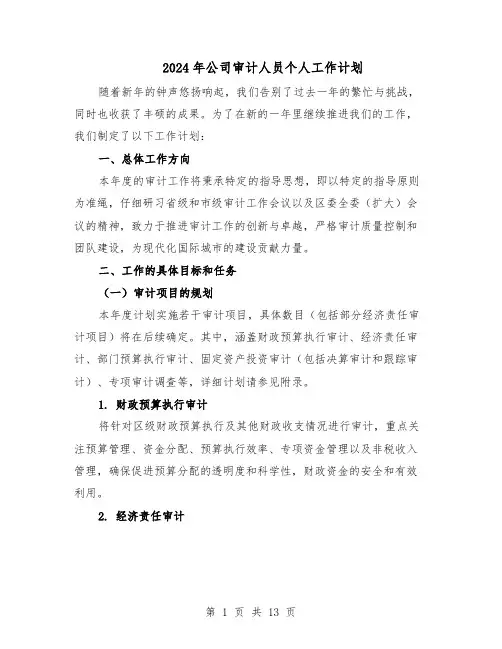 2024年公司审计人员个人工作计划（五篇）