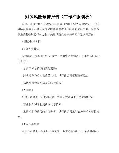 财务风险预警报告(工作汇报模板)