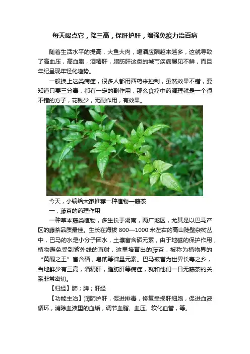 每天喝点它，降三高，保肝护肝，增强免疫力治百病