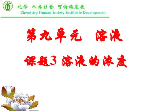 人教版初中化学九下9.3 溶液的浓度 课件 优秀课件PPT