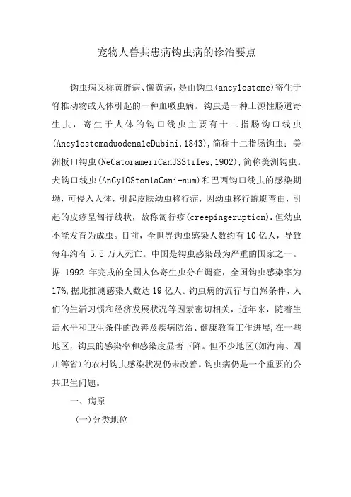 宠物人兽共患病钩虫病的诊治要点