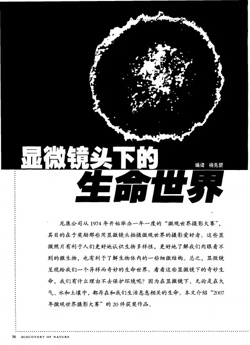 显微镜头下的生命世界
