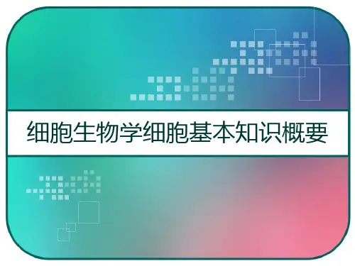 细胞生物学细胞基本知识概要 PPT
