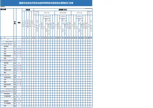 农业综合专项项目任务(效益)投资主要指标汇总表Excel模板
