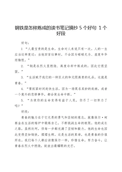 钢铁是怎样炼成的读书笔记摘抄5个好句 1个好段100-200字