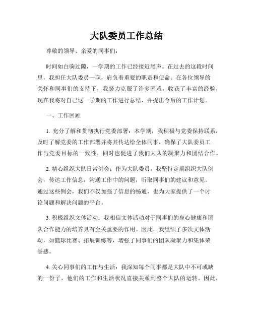 大队委员工作总结