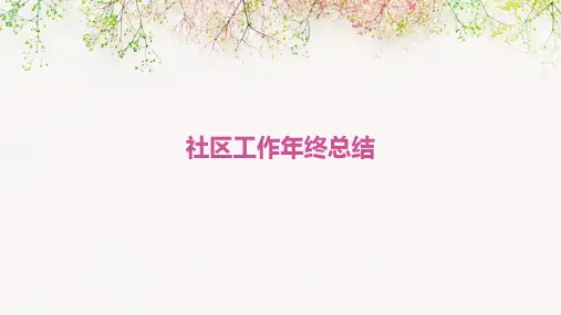 社区工作年终总结PPT